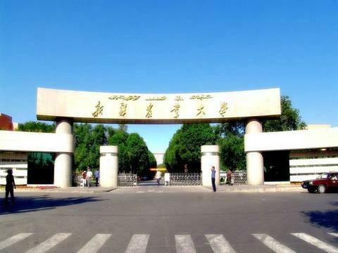 新疆農(nóng)業(yè)大學(xué),探索學(xué)術(shù)的繁榮與未來(lái)的潛力,新疆農(nóng)業(yè)大學(xué),學(xué)術(shù)繁榮與未來(lái)潛力的探索之旅