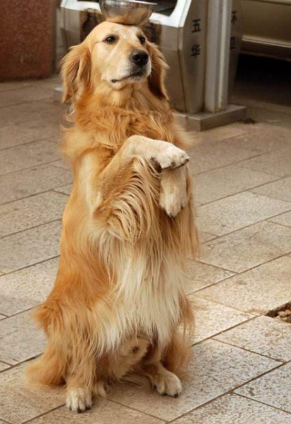 懷孕頭三個月,慎談喜事,關(guān)愛健康,懷孕頭三個月,謹(jǐn)慎談喜,重視健康關(guān)愛