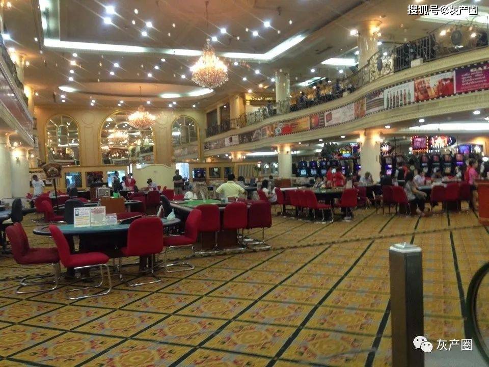 香港王中王開獎(jiǎng)結(jié)果查詢,今晚開獎(jiǎng)盛況一覽,香港王中王開獎(jiǎng)結(jié)果查詢,今晚盛況揭曉,最新開獎(jiǎng)信息一覽