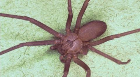 耳朵里面疼是怎么回事,深度解析與應對建議,耳朵內部疼痛原因深度解析及應對建議