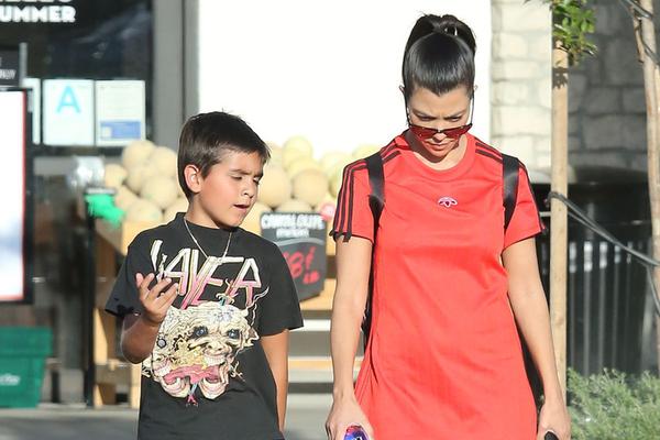 王中王兔費一肖，揭秘背后的秘密與SEO策略，揭秘王中王兔費預測背后的秘密與SEO策略