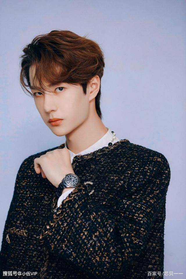 王中王一肖中特資料圖片——深度解析與SEO優化文章，王中王一肖中特資料圖片的深度解析與SEO優化探討