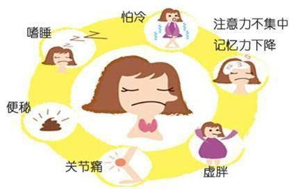 甲減的癥狀與危害，深入了解甲狀腺功能減退的影響，甲狀腺功能減退的影響及癥狀詳解，深入了解甲減的危害