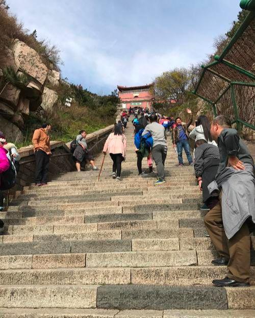 揭秘每年爬泰山死亡人數(shù)背后的故事，揭秘泰山登山死亡人數(shù)背后的故事