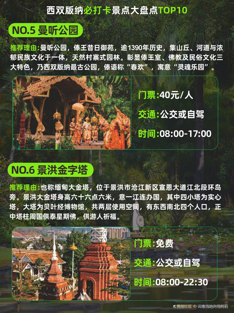 西雙版納最坑景點，深度解析與旅行建議，西雙版納坑爹景點揭秘，深度解析與旅行指南