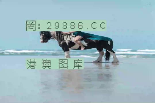 澳門新彩一碼精準(zhǔn)