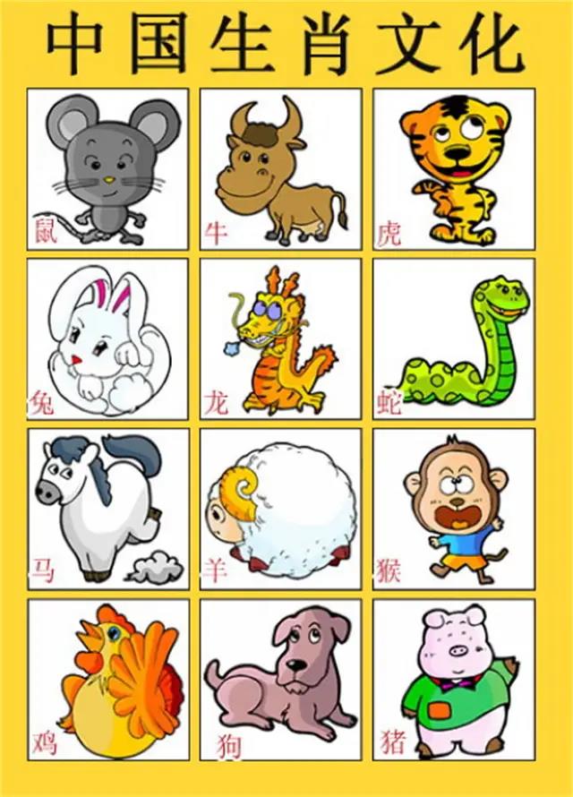 一肖有哪些生肖——生肖文化深度解析，生肖文化深度解析，揭秘十二生肖中的一肖奧秘