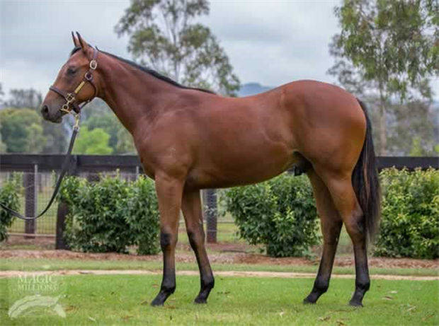 2025新澳免費資料曬馬匯——探索最新資訊與資源，2025新澳免費資料曬馬匯，最新資訊與資源探索