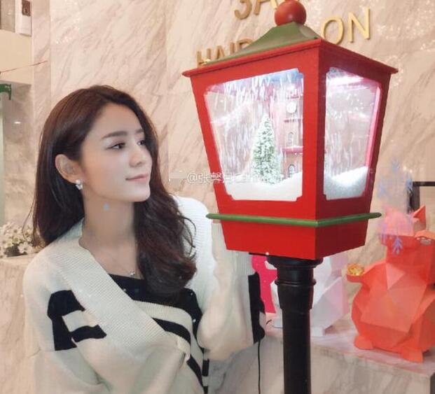 張馨月個(gè)人資料,探索明星的璀璨人生,張馨月個(gè)人資料,揭秘明星璀璨人生之旅