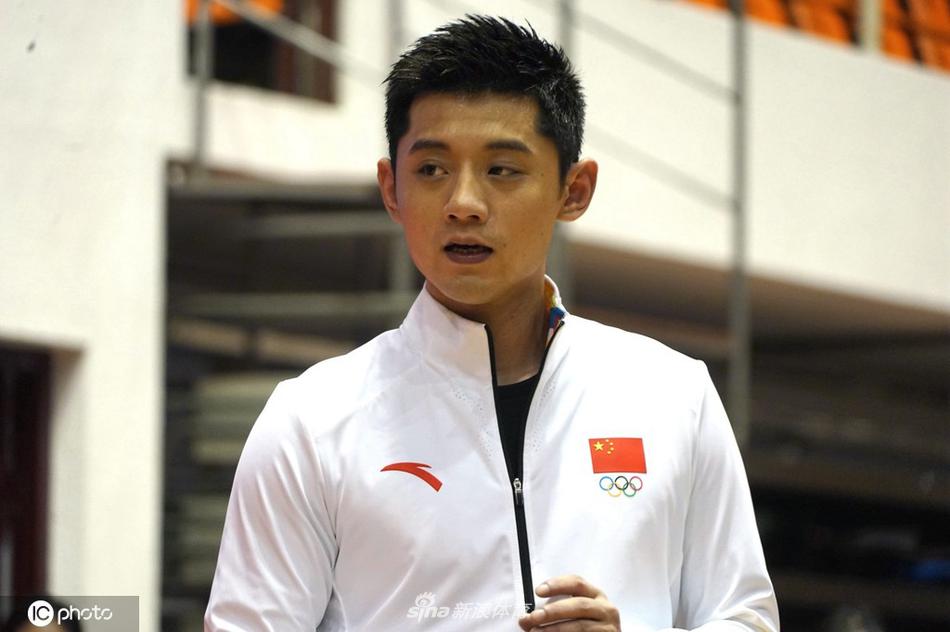 劉伯溫平特一肖資料詳解,劉伯溫平特一肖資料詳解概覽