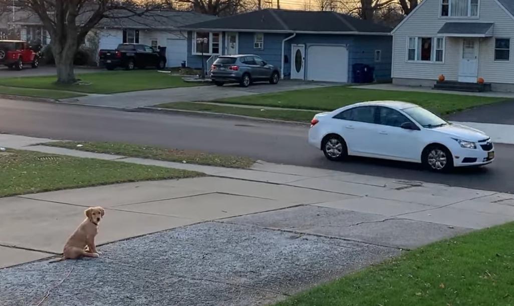 揭秘管家婆四不像必中一肖的秘密策略,揭秘四不像必中一肖的神秘策略,管家婆獨家秘訣揭曉