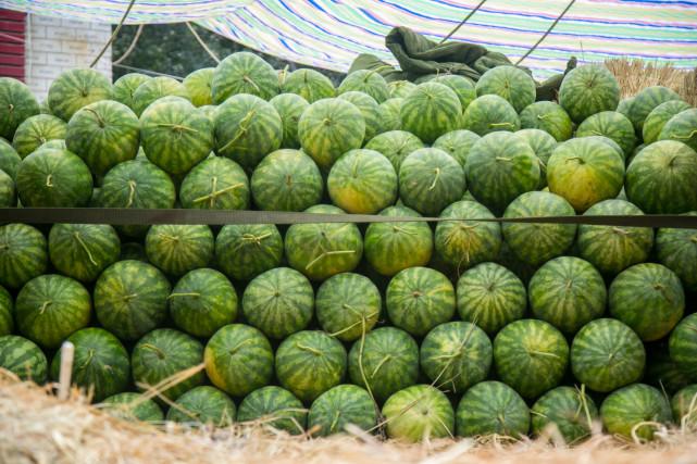 澳門一肖100準免費——揭秘生肖預測真相與風險應對,澳門生肖預測揭秘,真相揭秘與風險應對指南