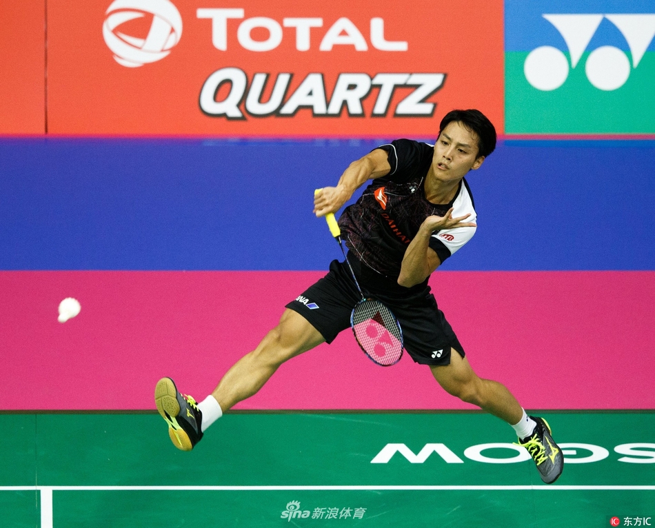 一肖平碼王中王，揭秘背后的秘密與策略，揭秘一肖平碼王中王的秘密與策略