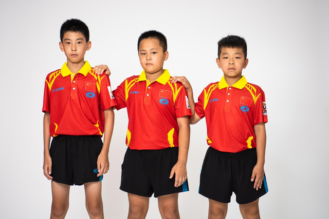 王中王白小姐四肖選一，揭秘背后的秘密與策略，揭秘王中王白小姐四肖選一背后的秘密與策略之道