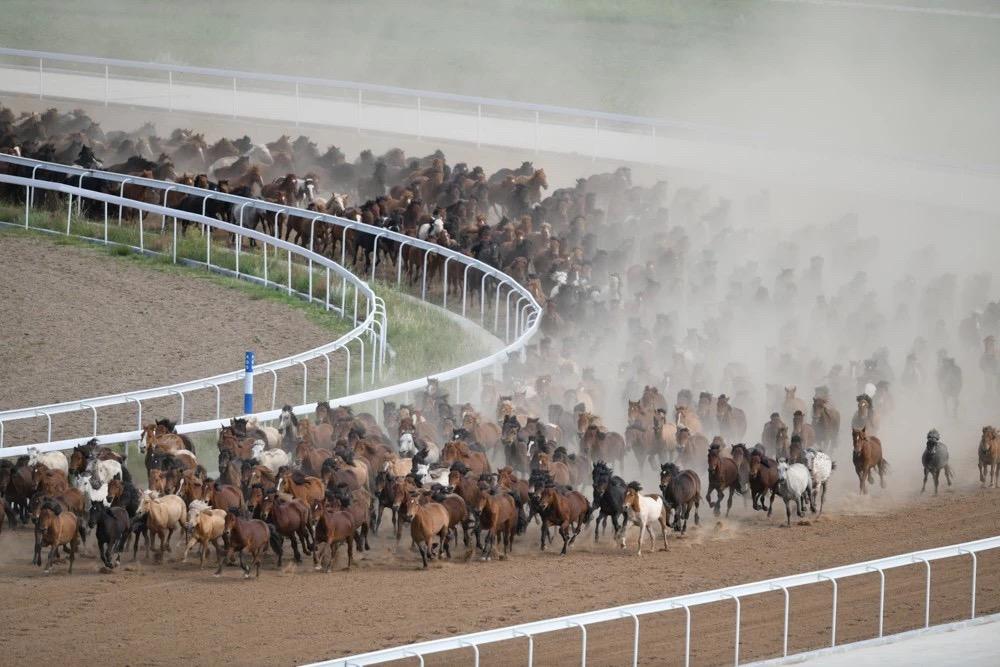 澳門賽馬會,最快開獎直播的全面解析,澳門賽馬會,最快開獎直播詳解