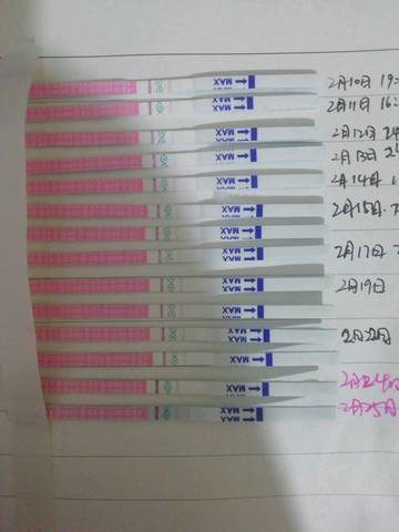 一直弱陽就是沒排卵嗎？解析排卵檢測中的誤區(qū)與真相，解析排卵檢測中的誤區(qū)與真相，一直弱陽是否意味著沒有排卵？