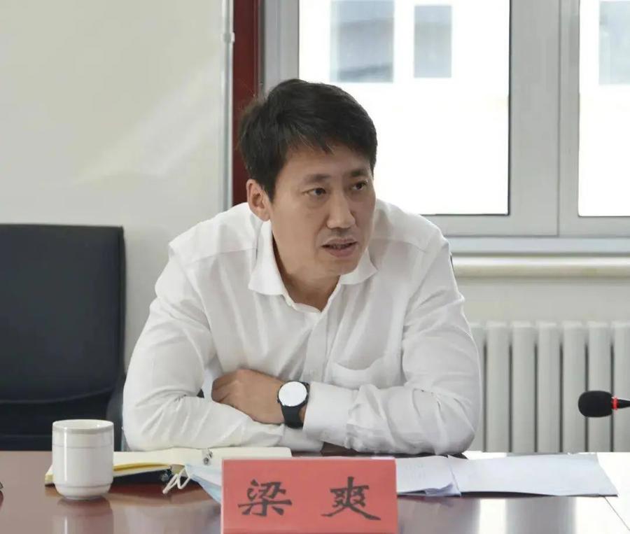 海淀區副區長馮燕,領導才能與治理智慧的展現,海淀區副區長馮燕,領導力與治理智慧的展現