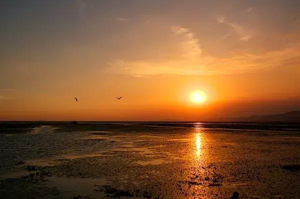 揭秘劉伯溫四不像一肖圖,神秘預(yù)測(cè)背后的故事,劉伯溫四不像一肖圖揭秘,神秘預(yù)測(cè)背后的傳奇故事