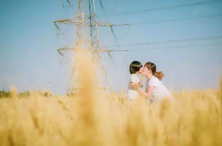 新澳最精準正最精準龍門，探索與發現，探索與發現，新澳最精準正龍門揭秘