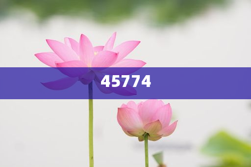 探索澳門正版免費資源,未來的趨勢與預測(至2025年),澳門正版免費資源趨勢探索與預測,未來展望至2025年