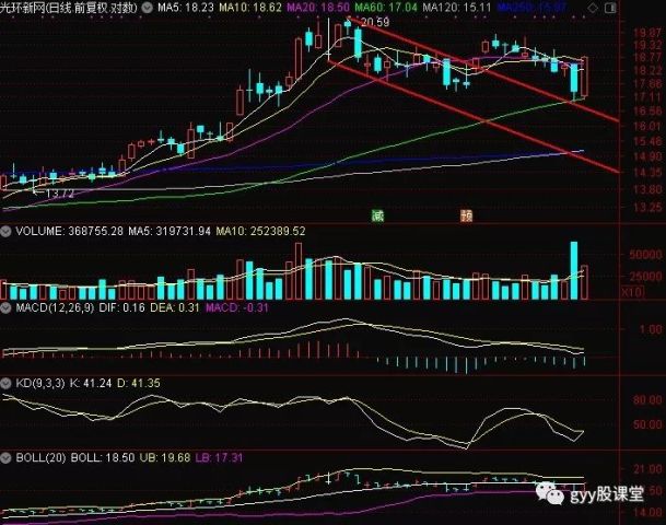 關于股票300383的全面解析,股票300383全面解析指南