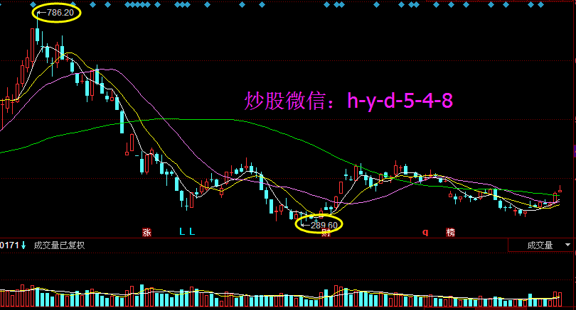 關于股票300383的全面解析,股票300383全面解析指南
