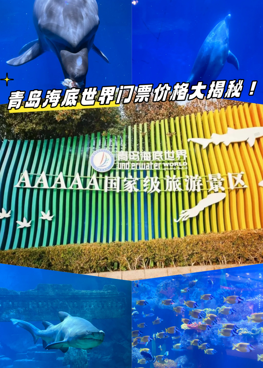 青島海底世界門票是否免費?一篇文章帶你了解全部信息,青島海底世界門票全面解析,免費與否?一篇文章告訴你答案!
