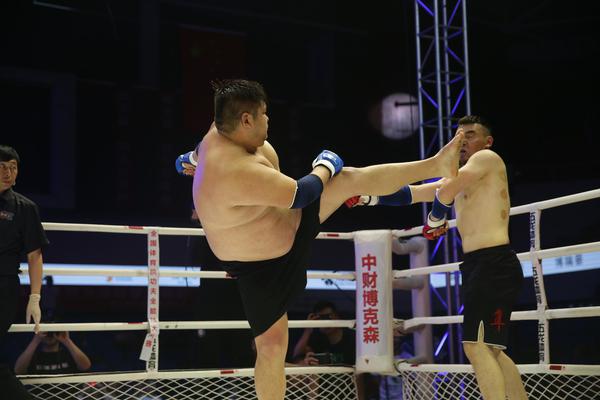 特特馬王中王一碼一肖，揭秘背后的秘密與探索SEO優化策略，特特馬王中王一碼一肖，揭秘背后的秘密與SEO優化策略探索