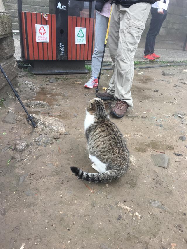 華山所在省份、城市及縣份的詳細解析,華山所在省份、城市及縣份詳解
