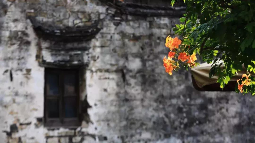 烏鎮旅游最佳時間解析,烏鎮旅游最佳時節解析