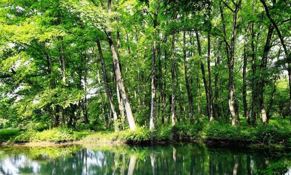 四月份國內旅游好去處,踏春賞花,暢游大好河山,四月份國內旅游好去處,踏春賞花,暢游大好河山美景