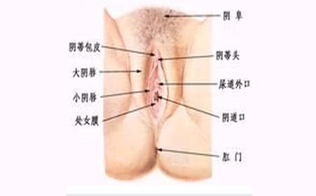 常見八種陰型照片及其特點解析,常見八種陰型照片特點深度解析