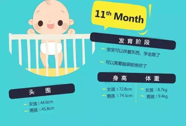 一周歲寶寶發育標準,一周歲寶寶成長里程碑發育標準