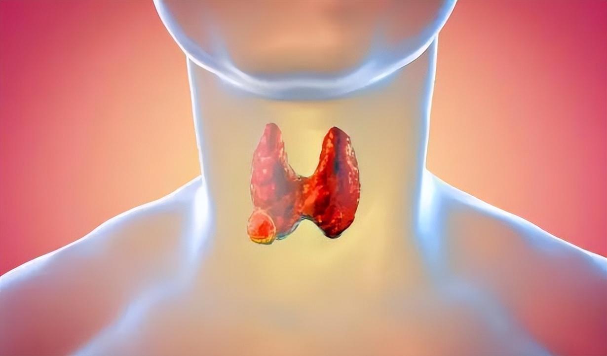 財經(jīng) 第33頁