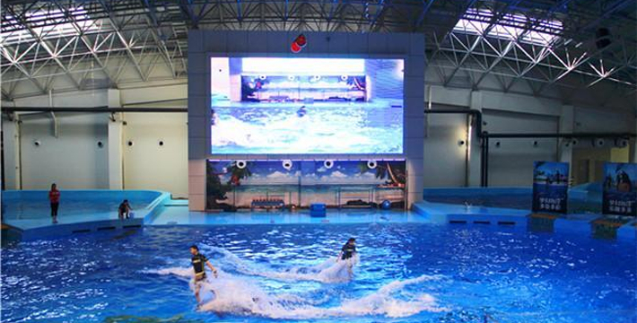 合肥海洋館門票價格詳解,合肥海洋館門票價格全面解析