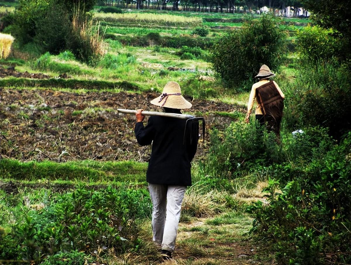 發生過關系后多久能查出懷孕——全面解析懷孕檢測時間與方式，發生關系后多久可查出懷孕？全面解析懷孕檢測時間與方式