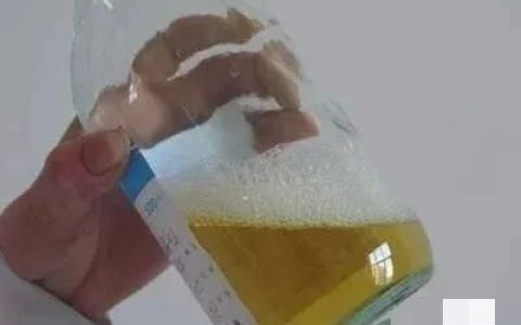 蛋白尿可以自愈嗎?解析真相與關鍵注意事項,蛋白尿能否自愈?解析真相及注意事項