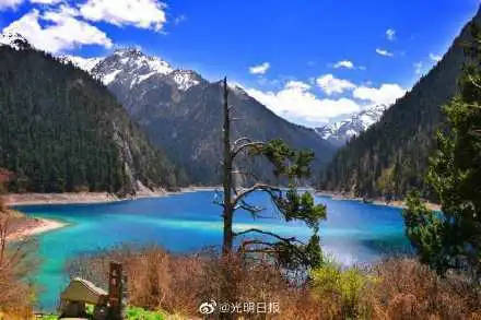 九寨溝官方旅游網(wǎng),探索神秘的自然奇觀,九寨溝官方旅游網(wǎng),探索自然奇觀的神秘之旅