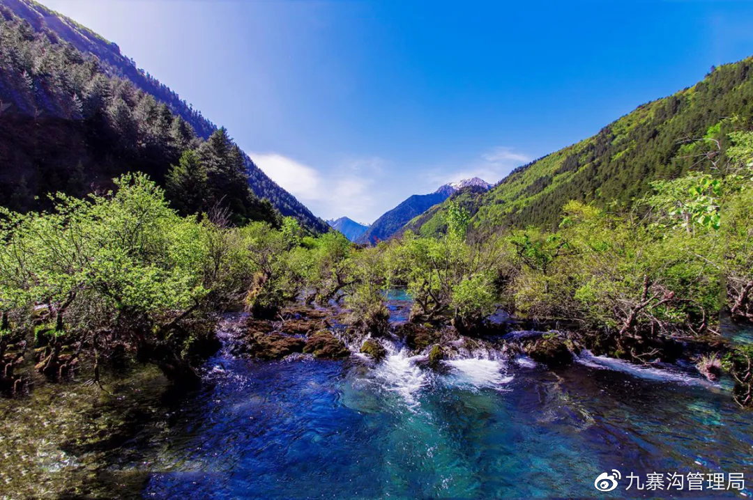 九寨溝官方旅游網(wǎng),探索神秘的自然奇觀,九寨溝官方旅游網(wǎng),探索自然奇觀的神秘之旅