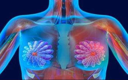 女人得肺癌的前兆,早期信號與預(yù)防策略,女人肺癌早期信號及預(yù)防策略,識別前兆,守護健康