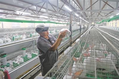 老澳開獎結(jié)果及2025年開獎記錄查詢,全面解析與實用指南,老澳開獎結(jié)果及查詢指南,全面解析2025年開獎記錄