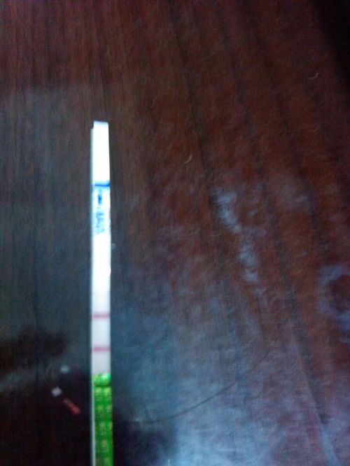 關于懷孕檢測,晨尿的重要性及其原因解析,懷孕檢測中晨尿的重要性及原因解析