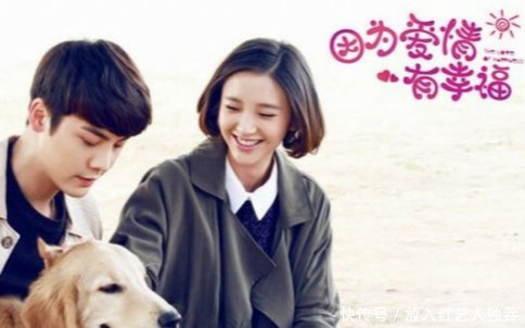 好看的電視劇排行榜前十名，精彩劇情一覽，電視劇排行榜前十名精彩劇情全覽