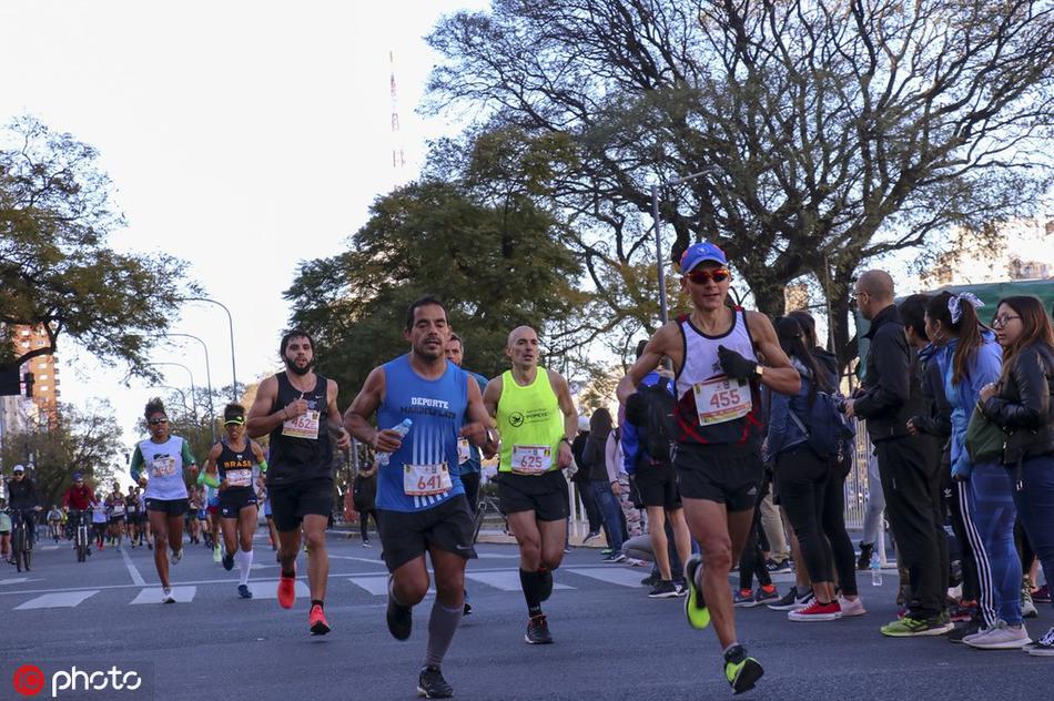 探索劉伯溫平特一肖網址——歷史、神秘與現代的交融，劉伯溫平特一肖網址揭秘，歷史與現代神秘交融之旅