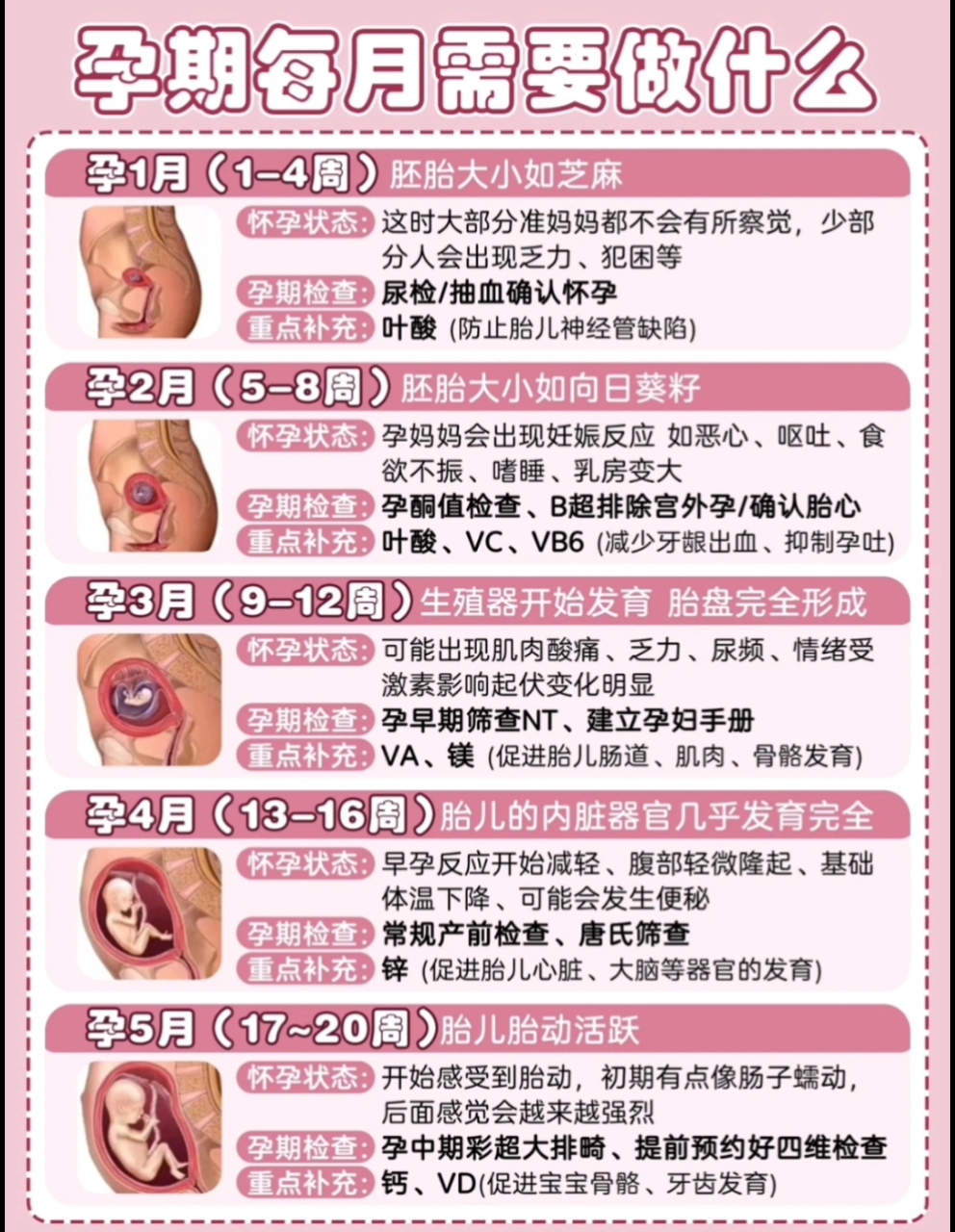 懷孕1到2個月注意事項,懷孕1-2個月,早期妊娠的關鍵注意事項