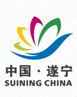 王中王遂寧平臺一肖中特的SEO文章,王中王遂寧平臺一肖中特,SEO優化策略揭秘