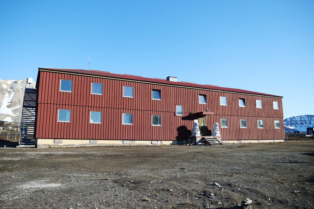 新澳王中王，揭秘一肖一特一中背后的奧秘，揭秘新澳王中王一肖一特一中背后的秘密傳奇