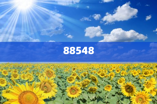 探索未來，2025新澳精準免費大全詳解，揭秘未來，2025新澳精準免費指南詳解