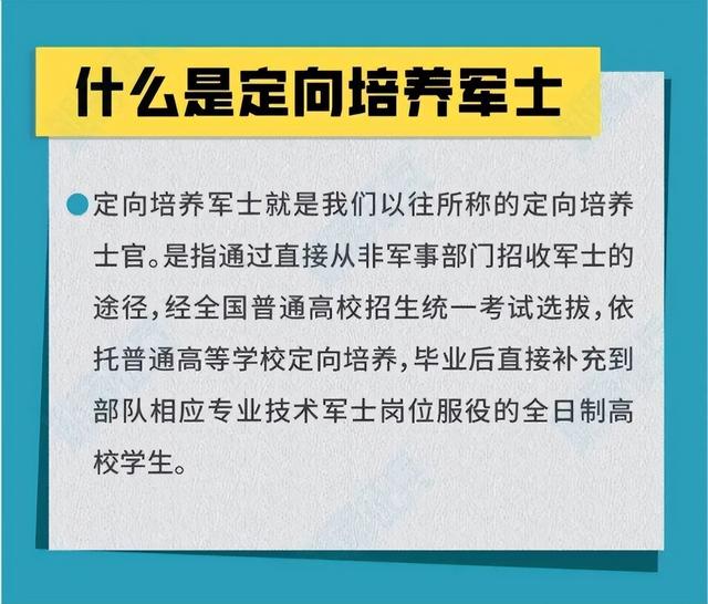 直招士官為什么是個坑？深度解析背后的原因，直招士官背后的原因深度解析，為何成為坑？