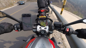 王中王310期指一生肖——揭秘生肖運勢與人生軌跡，揭秘生肖運勢與人生軌跡，王中王310期指一生肖探討返回頂部